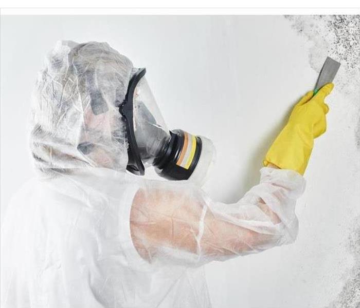 A professional disinfector in overalls processes the mold walls with a spatula. 